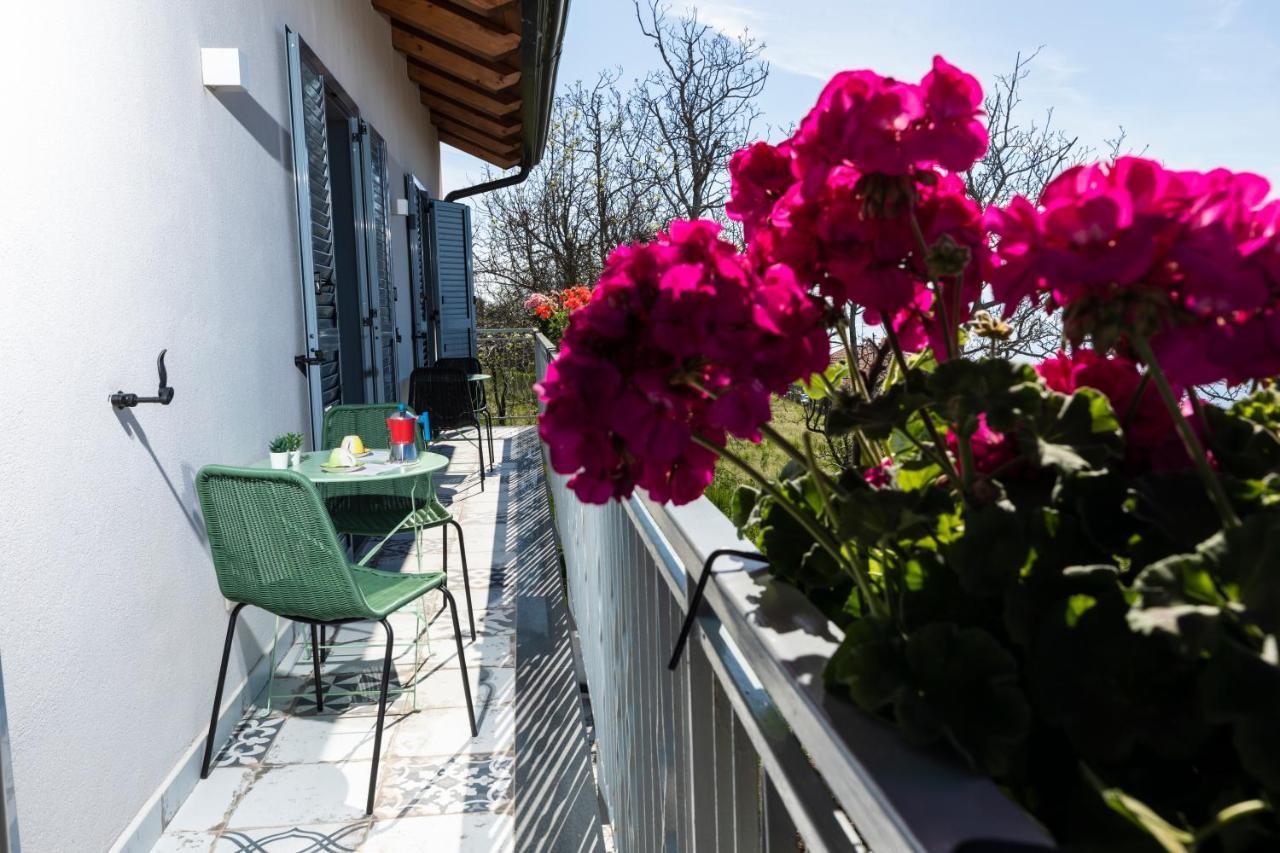 Bed and Breakfast Plein Sud Agerola San Lazzaro di Agerola Exterior foto